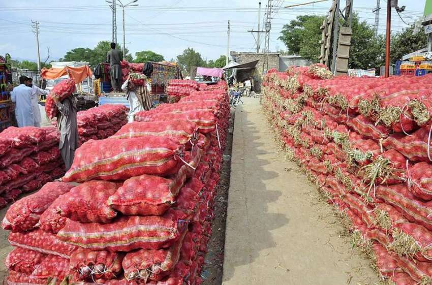 اسلام آباد: مزدور سبزی منڈی میں فروخت کے لیے پیاز ٹرک سے ..
