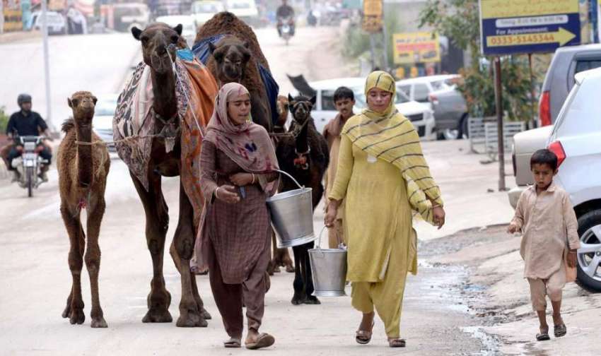 راولپنڈی: خانہ بدش خواتین اونٹنی کا دودھ فروخت کر رہی ہیں۔