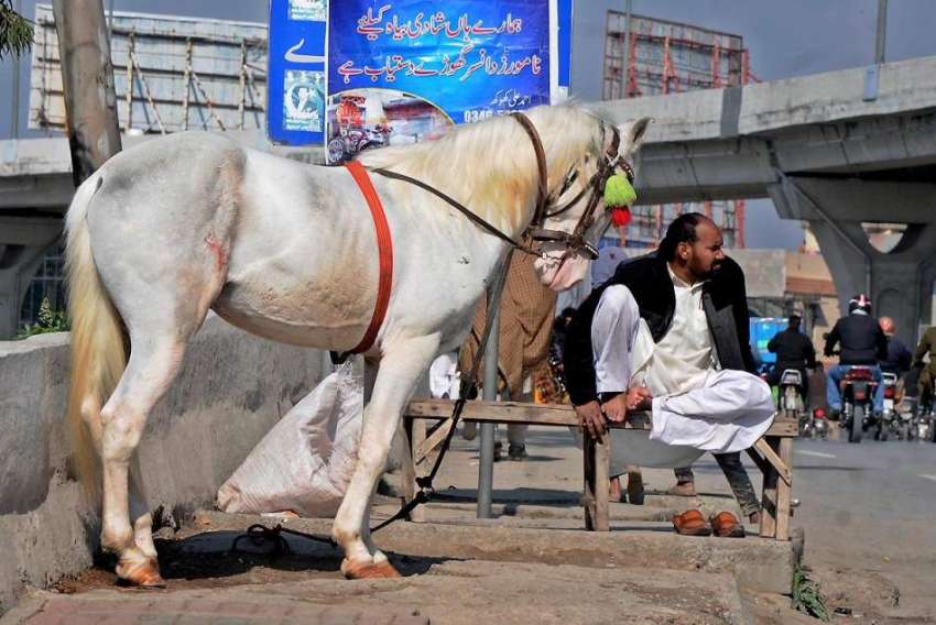راولپنڈی: ڈھولچی اپنے گھوڑے کے ہمراہ دھوپ میں بیٹھا گاہکوں ..