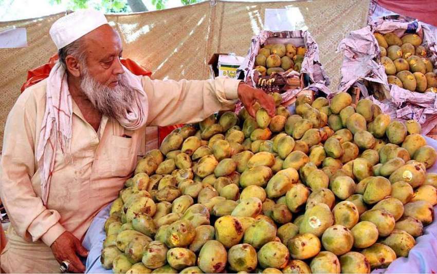 اسلام آباد: رمضان سستا بازار میں دکاندار گاہکوں کو متوجہ ..