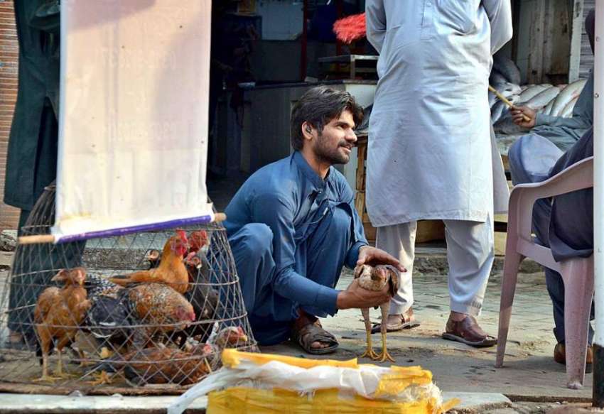 اسلام آباد: ایک شخص سڑک کنارے گاہک کو مرغیاں دکھا رہا ہے