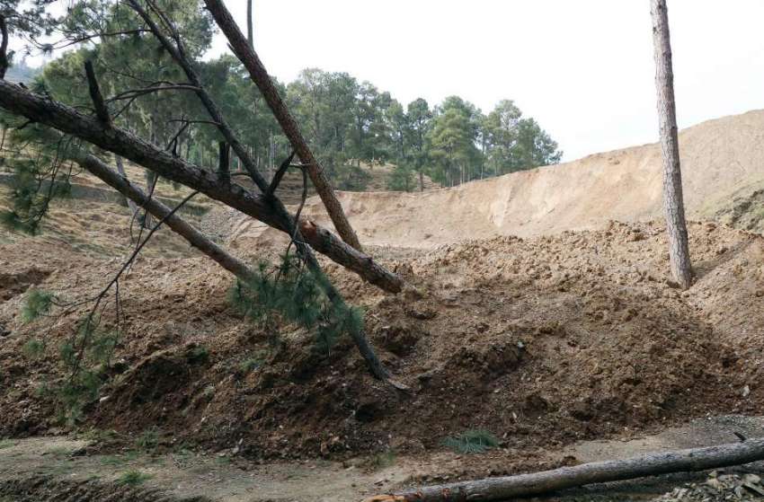 ایبٹ آباد: لینڈ سلائیڈنگ کی وجہ سے درخت کرے پڑے ہیں۔
