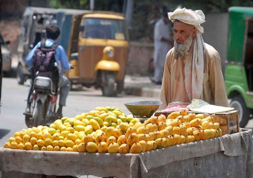 راولپنڈی: معمر ریڑھی بان پھیری لگا کر آم فروخت کررہا ہے۔