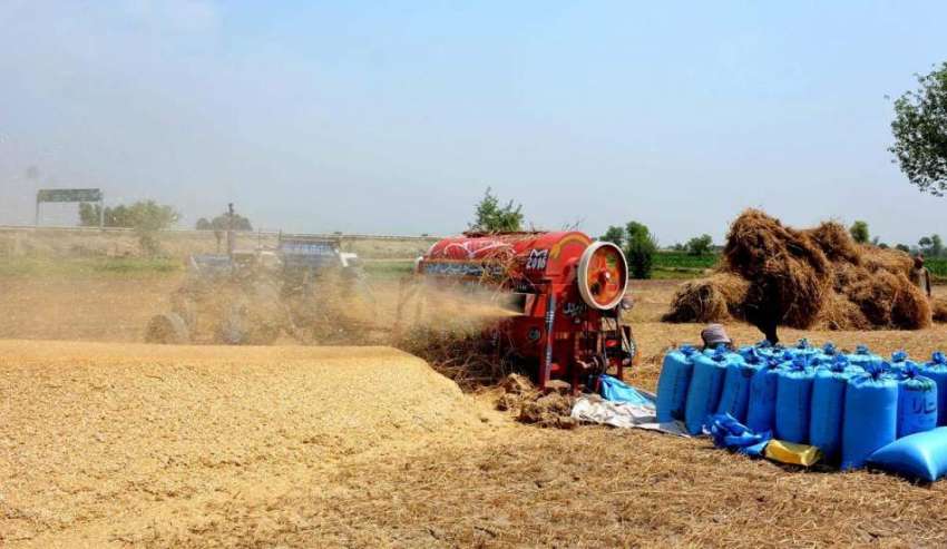 فیصل آباد: کسان جدید مشینری کے ذریعے گندم کی کٹائی میں مصروف ..