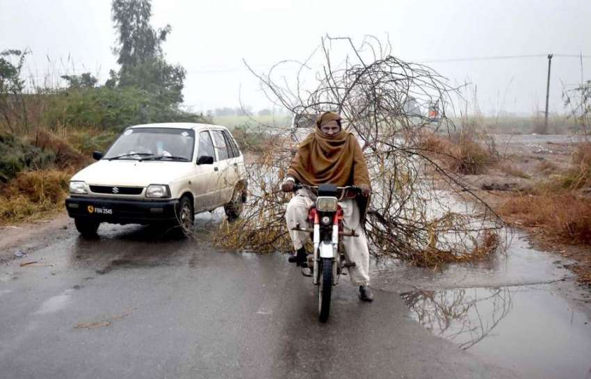 فیصل آباد: موٹرسائیکل سوار خشک ٹہنیاں کررکھے جارہاہے۔