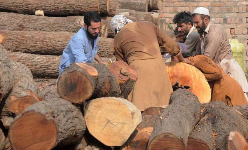 راولپنڈی: ٹمبر مارکیٹ میں مزدور لکڑی گودام میں منتقل کررہے ..