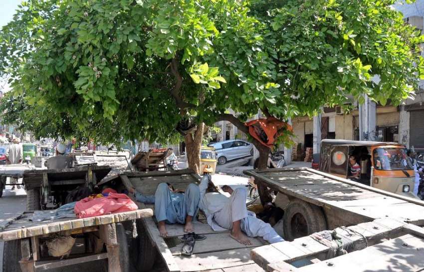 راولپنڈی: باغ سرداراں میں مزدور درخت کے سائے تلے ریڑھے پر ..