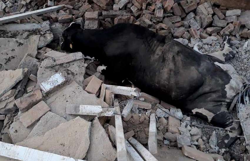 میرپور: میرپور ڈی 4 میں زلزلے کے بعد 5.8 شدت کے نقصانات کا منظر۔
