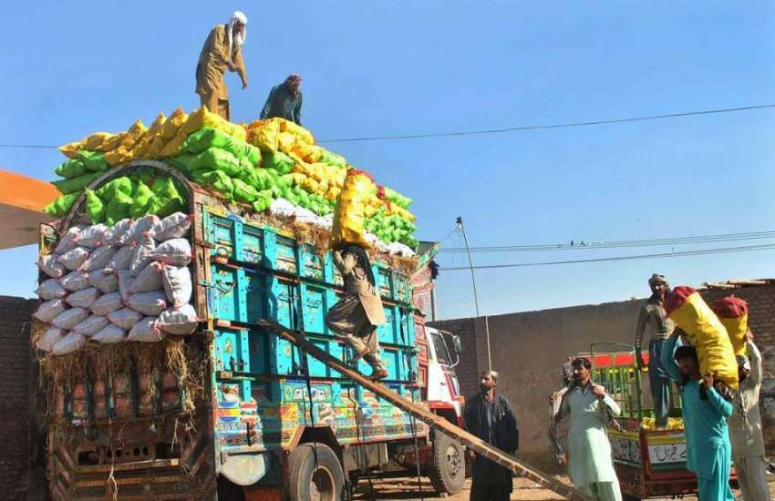 ملتان: مزدور ٹرک پر سبزیوں بھرے تھیلے لوڈ کرنے میں مصروف ..
