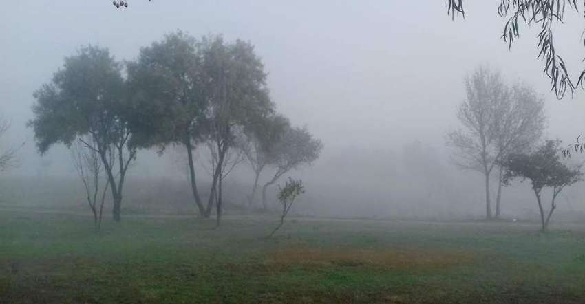 اسلام آباد: وفاقی دارالحکومت میں صبح کے وقت چھائی دھند کا ..