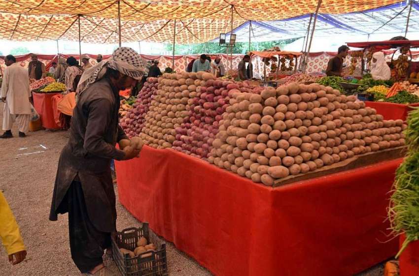 کوئٹہ: دکاندار رمضان سستا بازار میں فروخت کے لیے آلو سجا ..