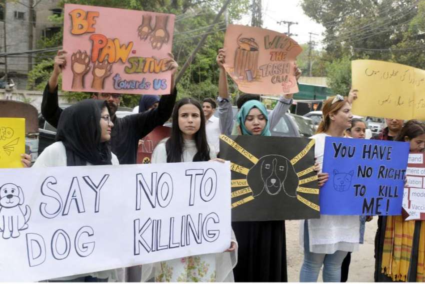 لاہور: سول سوسائٹی کے زیر اہتمام جانوروں کے حقوق کے لیے احتجاج ..