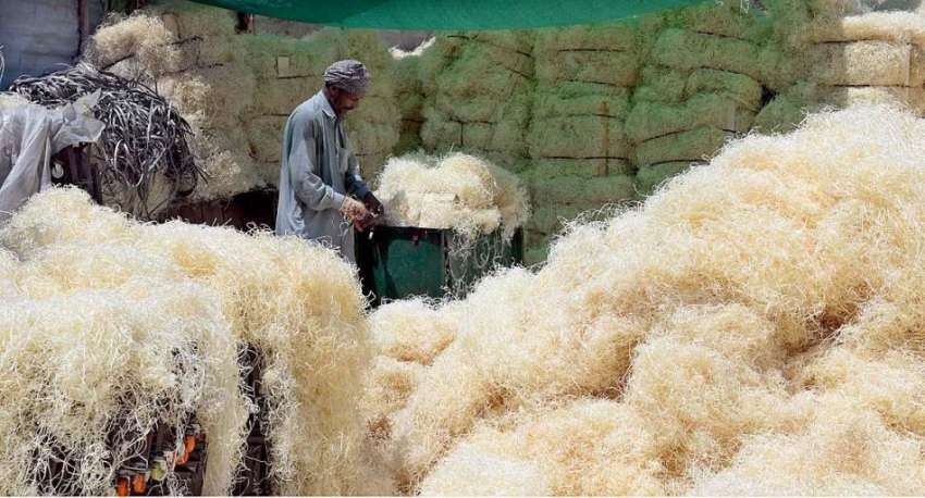 راولپنڈی: مزدور ائیر کولروں کے لیے خسیں تیار کرنے میں مصروف ..