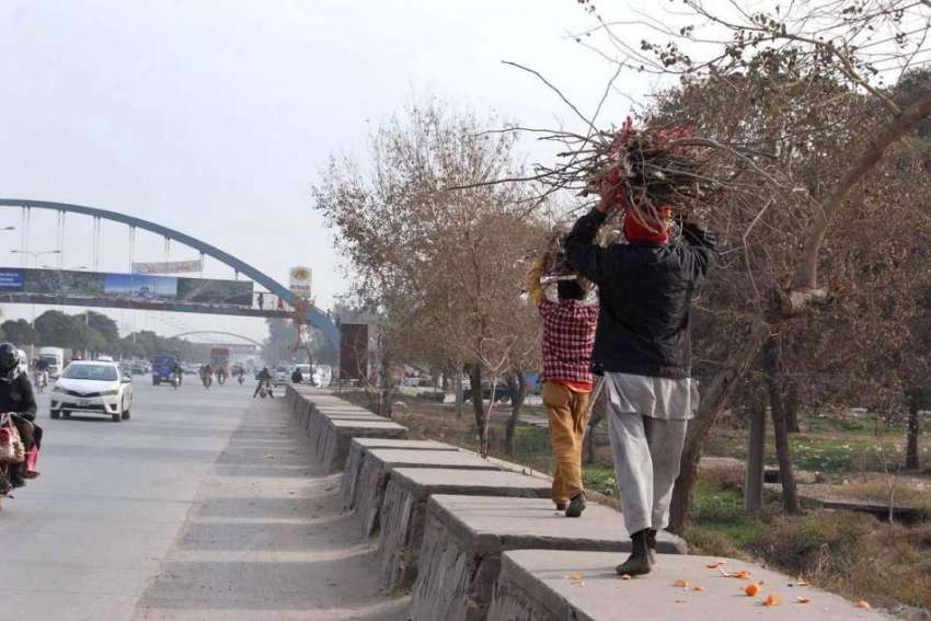 اسلام آباد: نوجوان گھر کا چولہا جلانے کے لیے خشک لکڑیاں اٹھائے ..