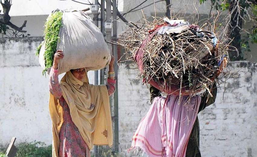 راولپنڈی: نواحی دیہات کی خواتین سر پر جلانی کی لکڑیاں اور ..