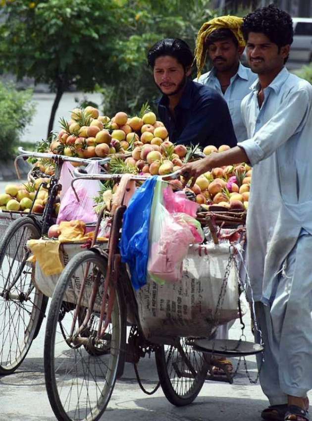 راولپنڈی: محنت کش پھیری لگا کر آڑو فروخت کر رہے ہیں۔