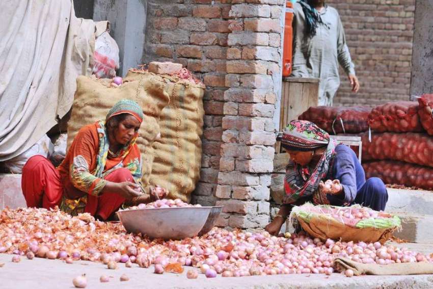 ملتان: محنت کش خواتین سبزی منڈی میں پیاز چھانٹی کر رہی ہیں۔
