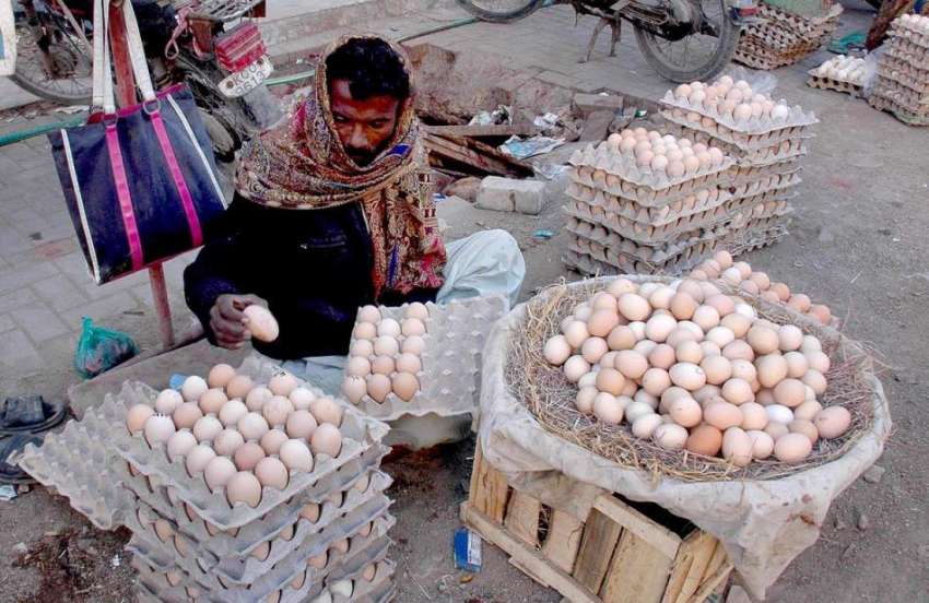 کراچی: محنت کش گاہکوں کو متوجہ کرنے کے لیے دیسی انڈے سجائے ..