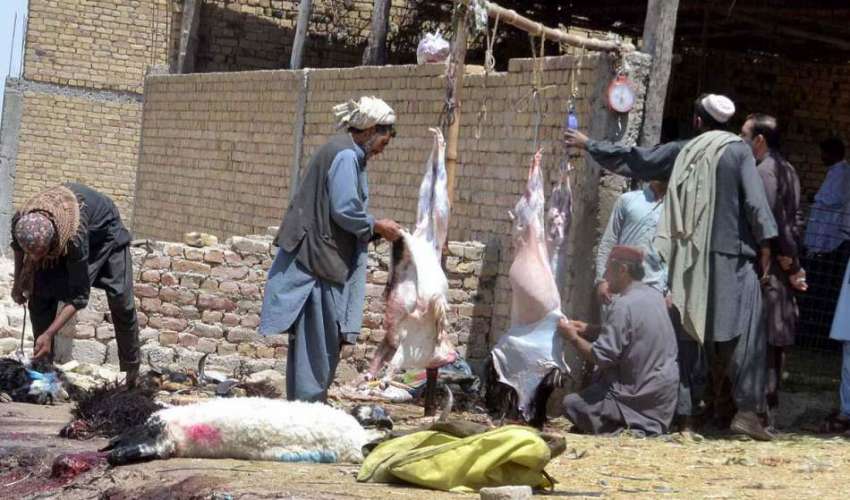 کوئٹہ: بکرا منڈی سے خریدای کے بعد کسائی بکرے ذبح کر رہے ہیں۔