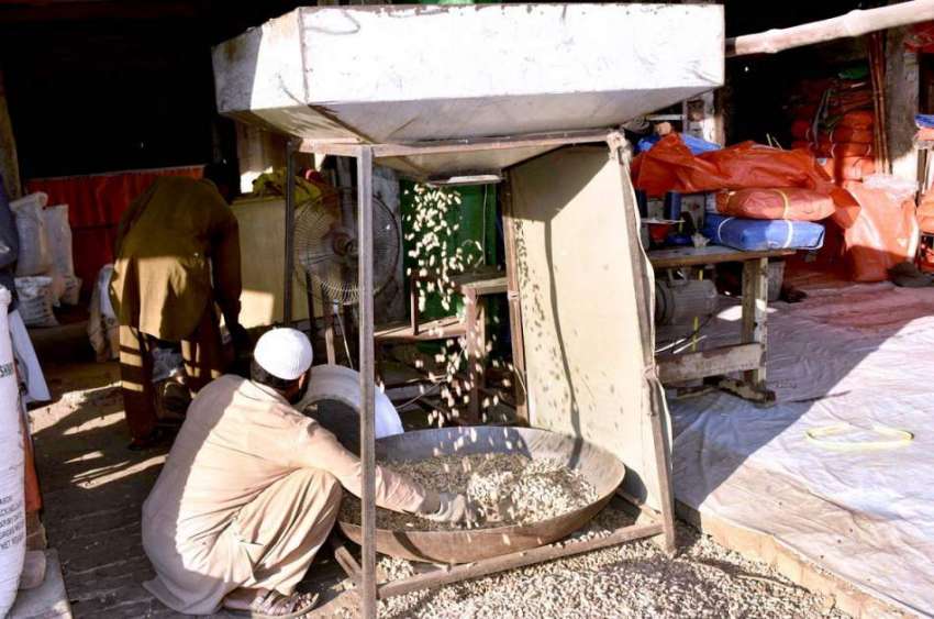 فیصل آباد: مزدور اناج منڈی میں مونگ پھلی کی صفائی کرنے میں ..