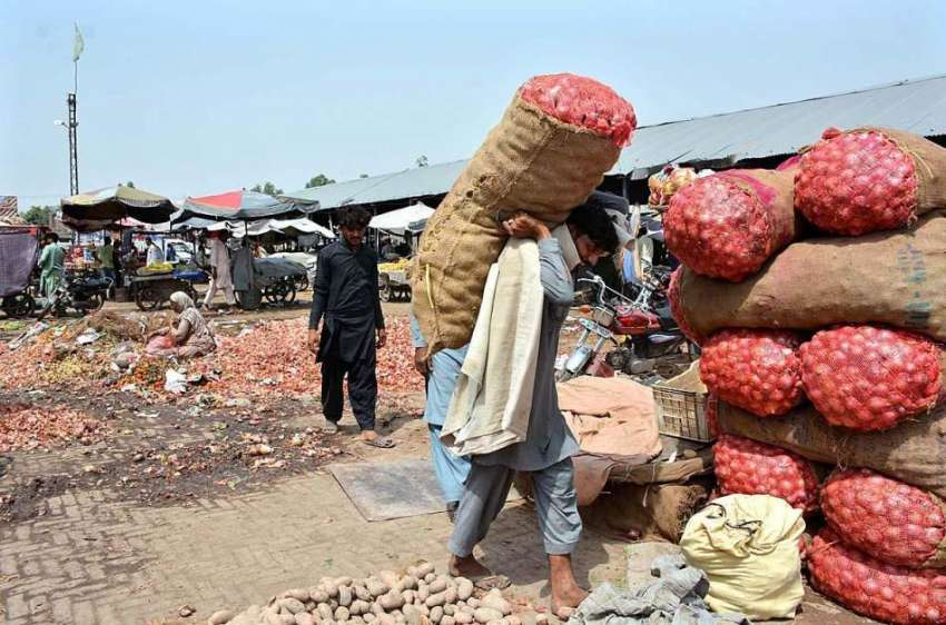 فیصل آباد: مزدور سبزی منڈی میں پیاز کی بوریاں ٹرک سے اتار ..