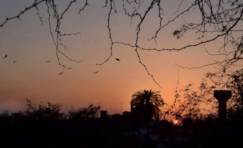 لاہور: صوبائی دارالحکومت میں شام کے وقت غروب آفتاب کا خوبصورت ..