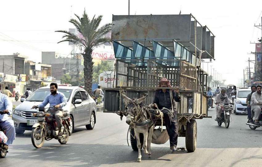 فیصل آباد: ایک مزدور گدھا گا ڑی پر بھاری سامان لاد کر لے جا ..