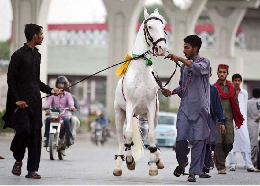 راولپنڈی: کوچوان شادی بیاہ اور دیگر تقریبات میں ڈانس کرنے ..
