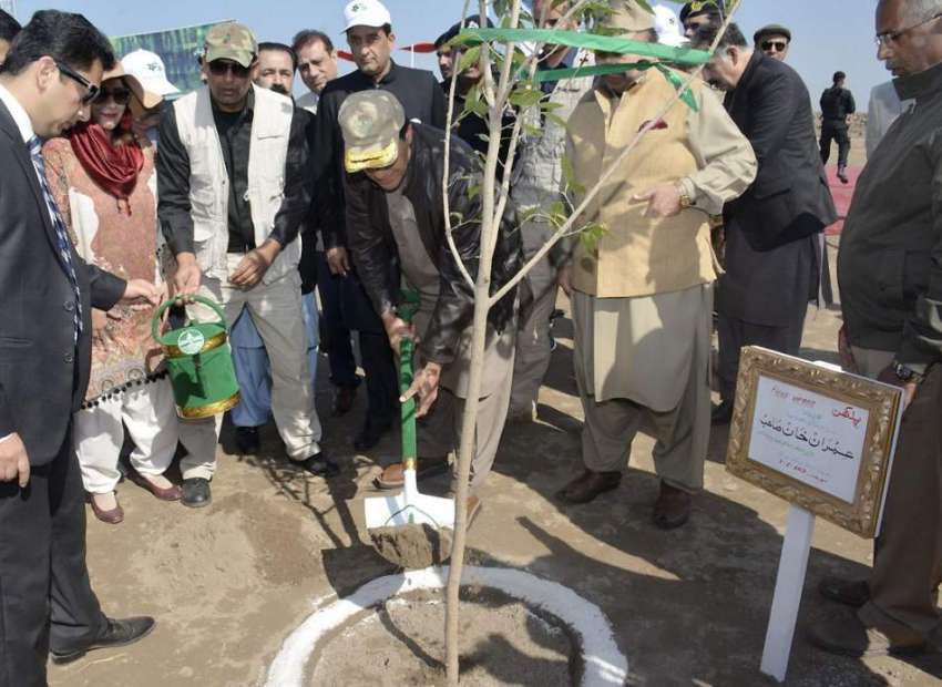 ننکانہ صاحب: وزیر اعظم عمران خان بلوکی میں پودا لگا کر شجر ..