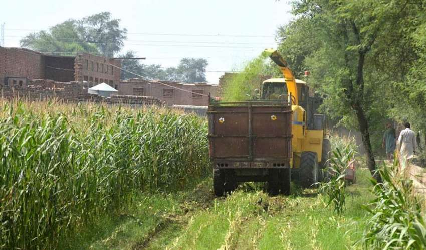 ملتان: کسان جدید مشینری کے ذریعے فصل کی کٹائی میں مصروف ہیں۔