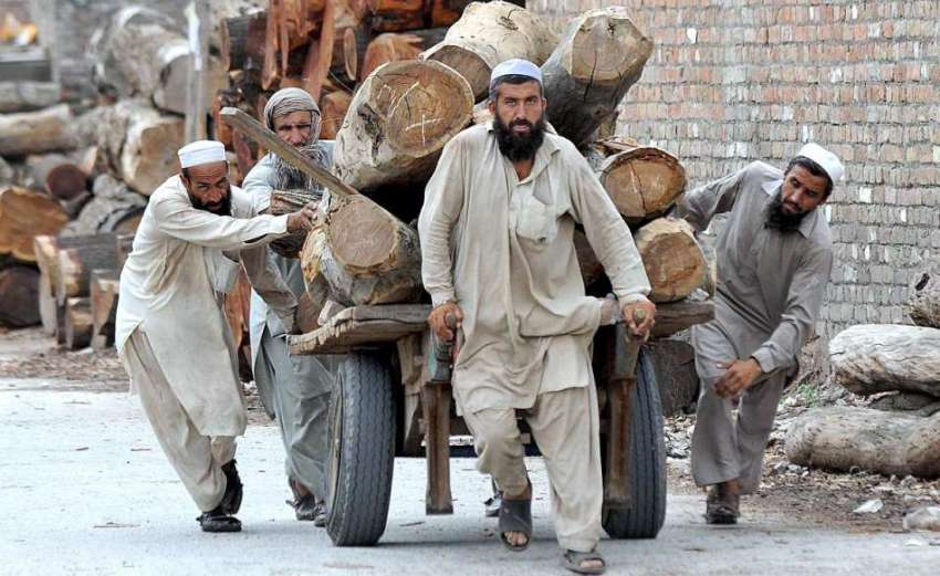 راولپنڈی: مزدور ہتھ ریڑھی پر بھاری لکڑی رکھے لیجا رہے ہیں۔