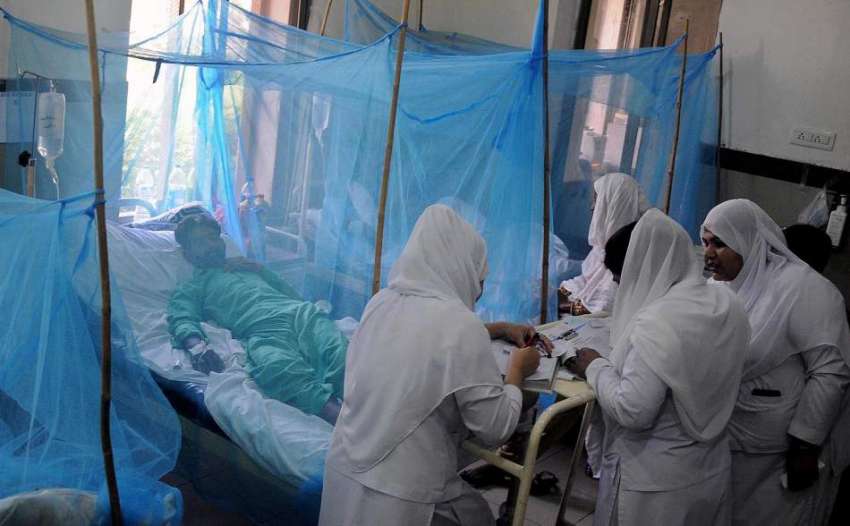 راولپنڈی: بے نظیر بھٹو ہسپتال میں ڈینگی کے مریض زیرعلاج ..