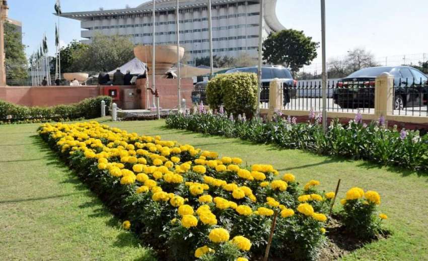 لاہور: پنجاب اسمبلی کے احاطے میں لگے پھول خوبصورت منطر پیش ..