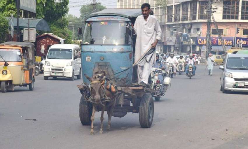 لاہور: ایک شخص گدھا ریڑھی پر رکشے کی باڈی رکھ کر ورکشاپ لیجا ..