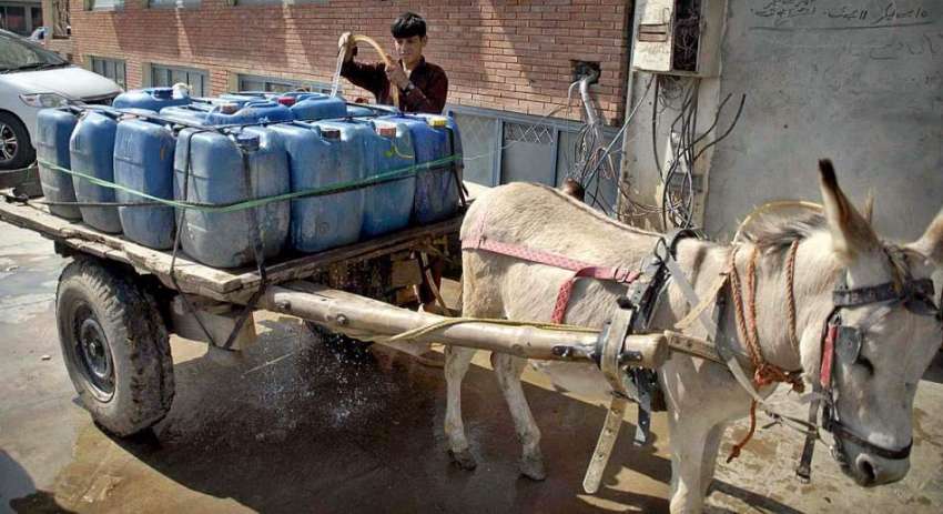 راولپنڈی: کمسن بچہ گدھا ریڑھی پر رکھے گئے پانی کے کین بھر ..