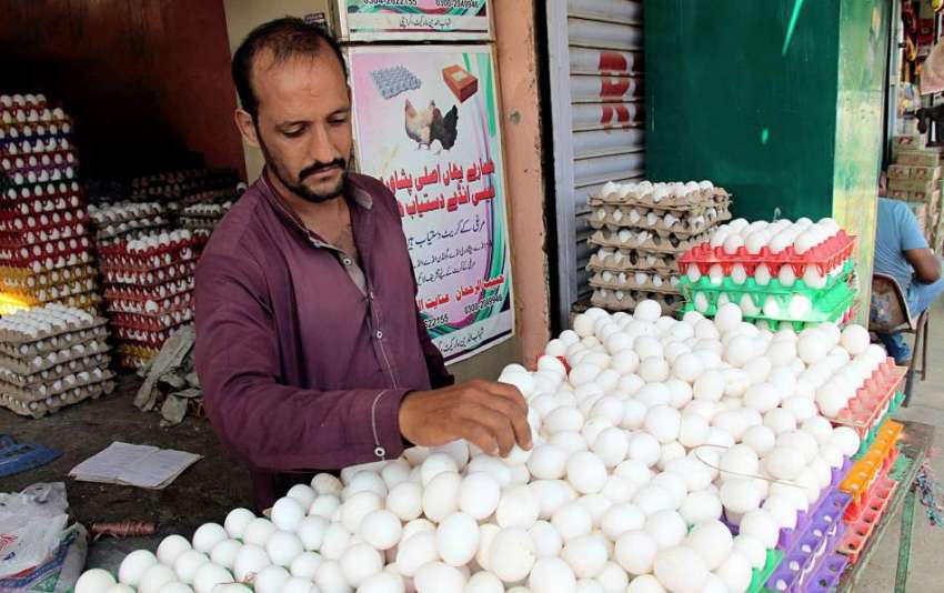 کراچی : سردی کی آمد کے ساتھ انڈوں کی مانگ میں اضافہ ہوجاتا ..
