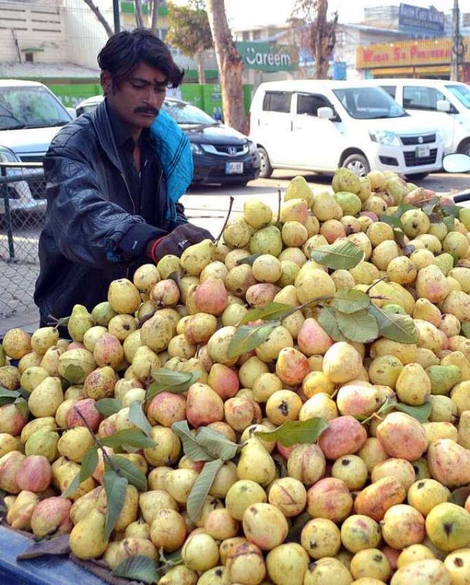ملتان: ایک دکاندار سڑک کنارے  امرود فروخت کر رہا ہے۔
