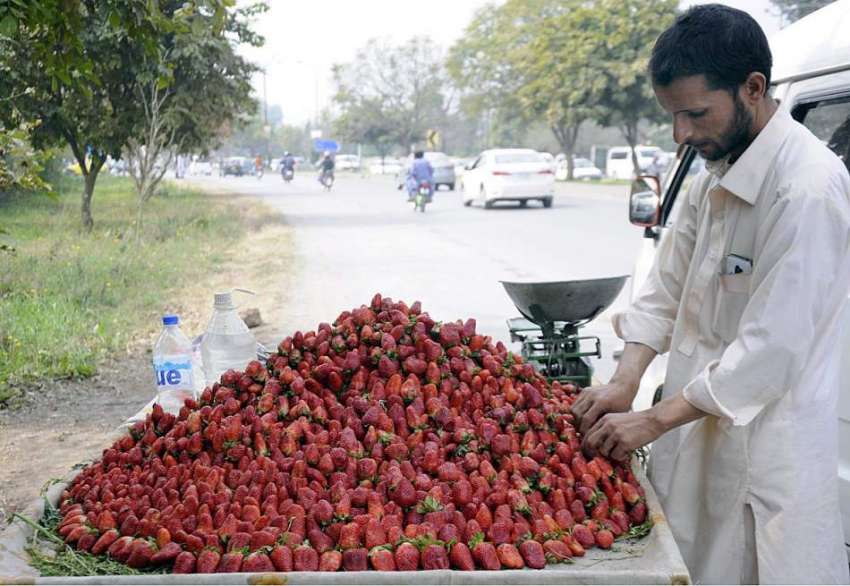 اسلام آباد: گاہکوں کو راغب کرنے کے لئے ایک فروش موسمی فروٹ ..