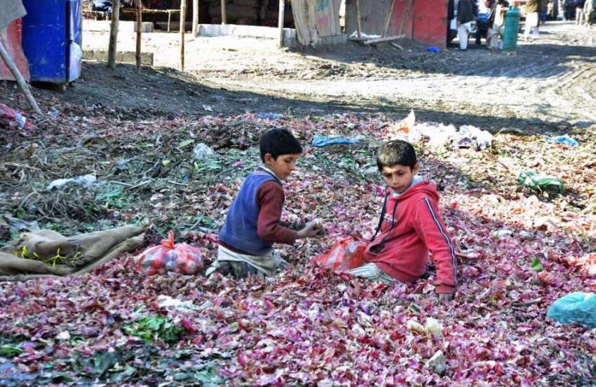 اسلام آباد: خانہ بدوش بچے سبزی منڈی میں پیاز اکھٹا کر رہے ..