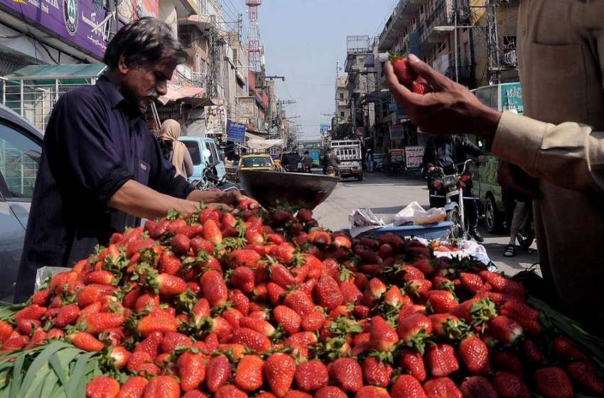 راولپنڈی:شہری ریڑھی بان سے سٹرابری خرید رہا ہے۔