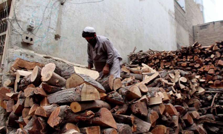 کراچی : ٹمبر مارکیٹ میں ایک مزدور اپنے کام میں مصروف ہے ۔