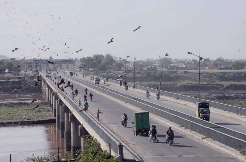 لاہور: پابندی کے باوجود صدقے کا گوشت پھینکنے کی وجہ سے پرندوں ..