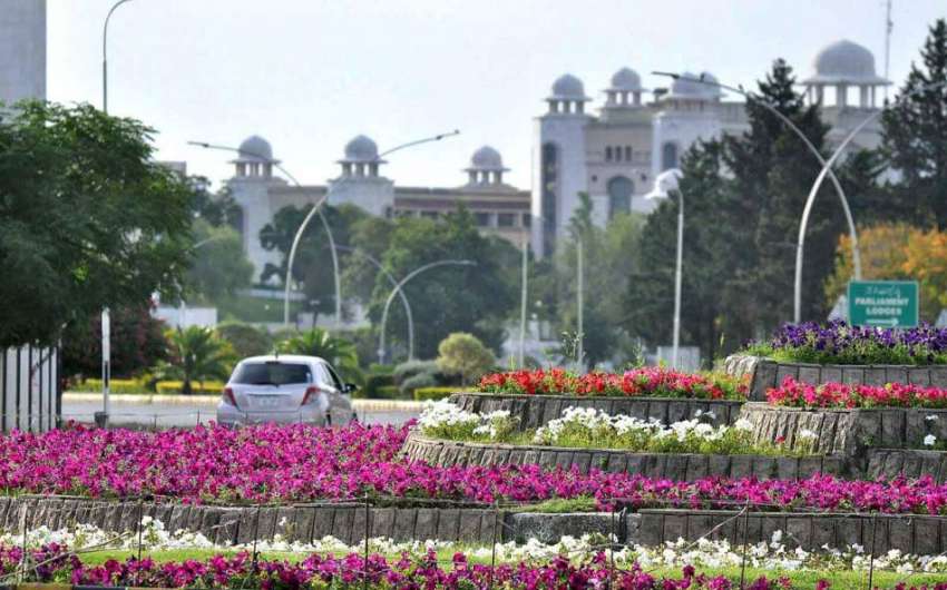 اسلام آباد: پارلیمنٹ ہاؤس کے سامنے  پھولوں کا پرکشش نظارہ۔

