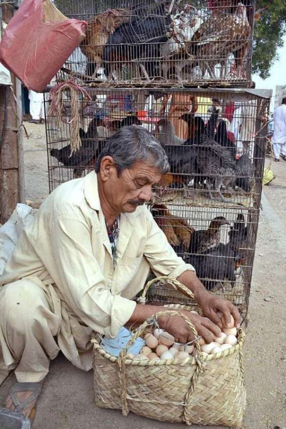 کراچی: مقامی مارکیٹ میں دیسی انڈے اور مرغیاں بیچنے والا ..