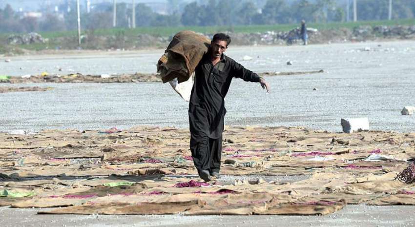 راولپنڈی: پیروادای کے قریب کھلے علاقے میں سوکھنے کے لئے ..