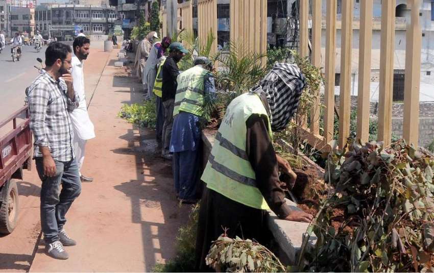 راولپنڈی : مری روڈ پر موتی محل کے پاس پی ایچ اے اہلکار پودے ..