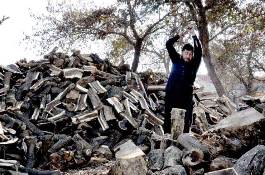 اسلام آباد: ایک دکاندار لکڑیاں فروخت کرنے کے لئے کاٹ رہاہے۔