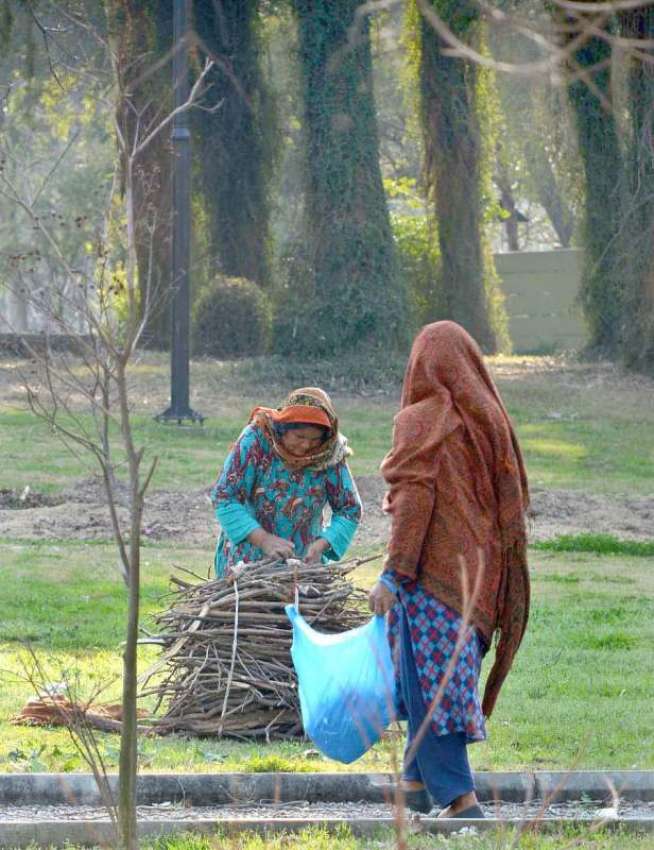 اسلام آباد: خانہ بدوش خواتین گرین بیلٹ ایریا میں آگ کی لکڑی ..