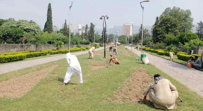 اسلام آباد سیکٹر جی سکس میں موسمی پھول لگانے کا کام جاری ..