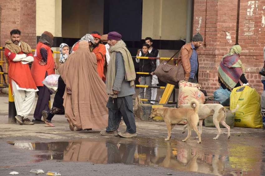 لاہور: ریلوے اسٹیشن پرآوارہ کتے مٹر گشت کر رہے ہیں جوکہ ضلعی ..